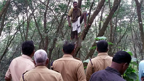 ಮರವನ್ನು ಹತ್ತಿ ಕಾರ್ಮಿಕನಿಂದ ಆತ್ಮಹತ್ಯೆ ಬೆದರಿಕೆ